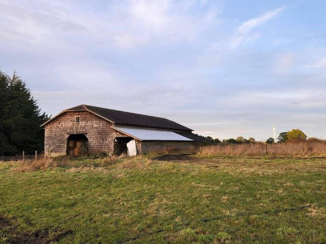 #5 - Granja  Finca para Venta en Puerto Varas - X